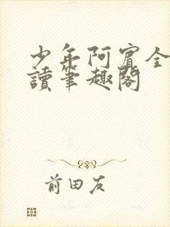 少年阿宾全文阅读笔趣阁