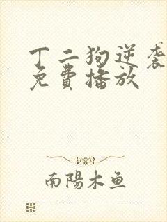 丁二狗逆袭人生免费播放