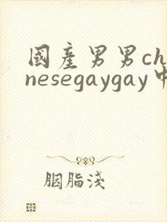 国产男男chinesegaygay中国帅哥网站