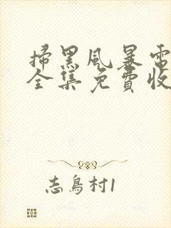 扫黑风暴电视剧全集免费收看20