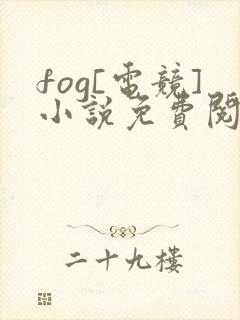 fog[电竞]小说免费阅读