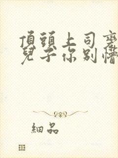 顶头上司变后妈儿子你别懵短剧完整版