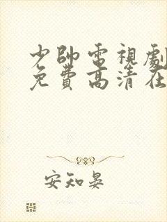 少帅电视剧全集免费高清在线观看封面