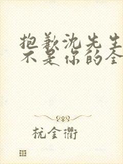 抱歉沈先生孩子不是你的全集免费观看封面