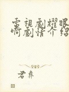 电视剧耀眼的你啊剧情介绍封面