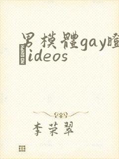 男模体gay瞪鉽ideos