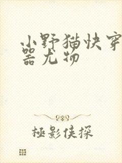 小野猫快穿之名器尤物