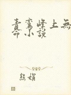 青鸾峰上无敌天命小说