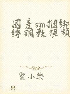 国产sm捆绑束缚调教视频