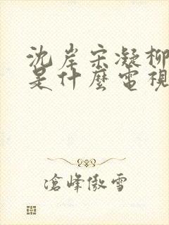 沈岸宋凝柳萋萋是什么电视剧