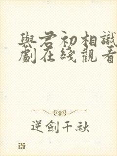 与君初相识电视剧在线观看免费完整版