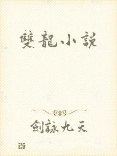 双龙小说