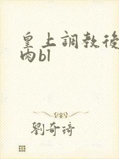 皇上调教后宫h肉bl封面