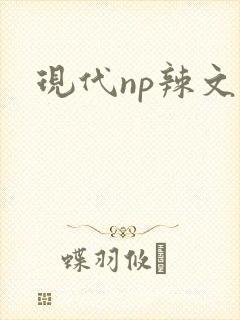 现代np辣文