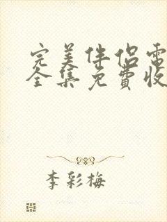 完美伴侣电视剧全集免费收看封面