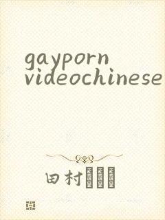 gaypornvideochinese