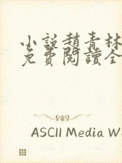 小说赵青林安澜免费阅读全文