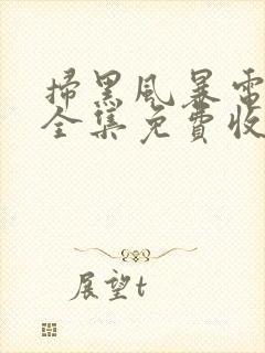 扫黑风暴电视剧全集免费收看