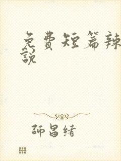 免费短篇辣文小说