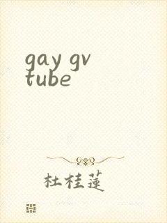 gay gv tube封面