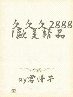 久久久28881欧美精品