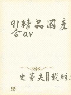 91精品国产综合av