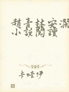 赵青林安澜正版小说阅读