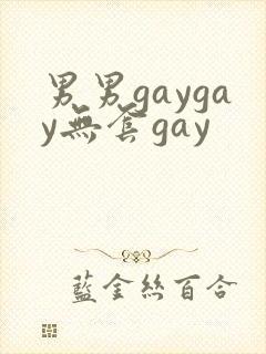男男gaygay无套gay