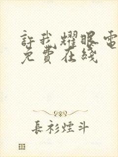 许我耀眼电视剧免费在线封面