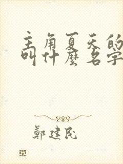 主角夏天的小说叫什么名字
