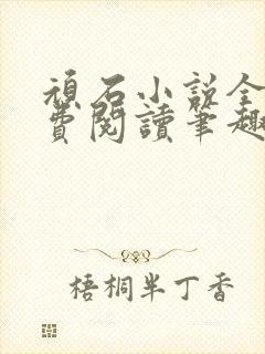 顽石小说全文免费阅读笔趣阁