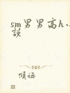 sm男男高h小说