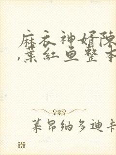 麻衣神婿陈黄皮,叶红鱼整本免费封面