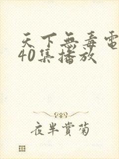 天下无毒电视剧40集播放