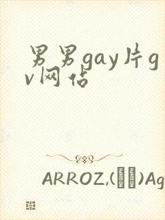 男男gay片gv网站
