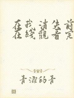 在我消失前电影在线观看完整版