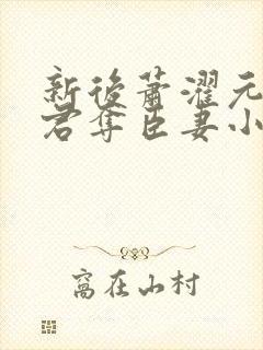 新后萧濯元朝露君夺臣妻小说笔趣阁