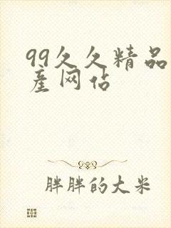 99久久精品国产网站封面