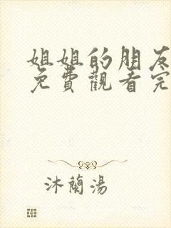 姐姐的朋友在线免费观看完整封面
