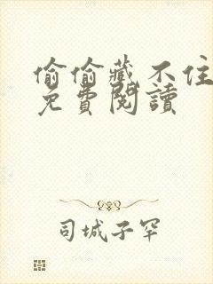 偷偷藏不住小说免费阅读