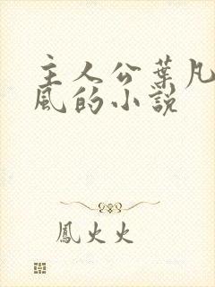 主人公叶凡叶长风的小说