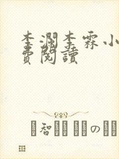 李澜李霖小说免费阅读