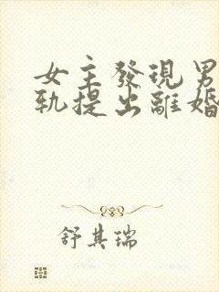 女主发现男主出轨提出离婚的小说封面