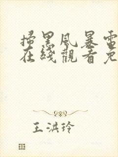 扫黑风暴电视机在线观看免费完整版封面