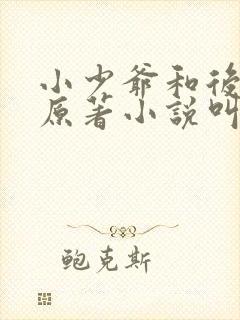 小少爷和后妈们原著小说叫什么名字