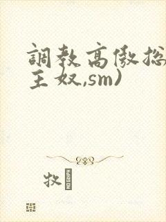 调教高傲总裁(主奴,sm)