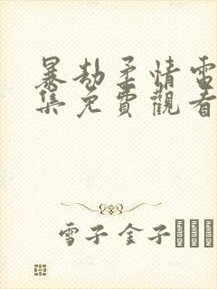 暴劫柔情电影全集免费观看