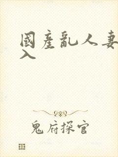 国产乱人妻精品入