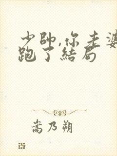 少帅,你老婆又跑了结局