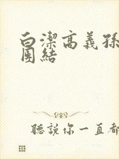 白洁高义孙倩大团结封面